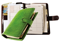 Croco Leather Spiral Planner Green Cover